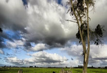 上港客场迎战富力：谁能笑到最后？