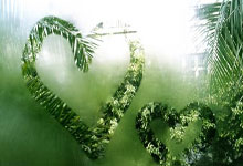 摩纳哥击败劲旅，实力得到验证