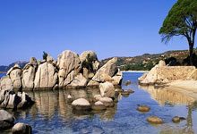 多特蒙德赢得紧要比赛