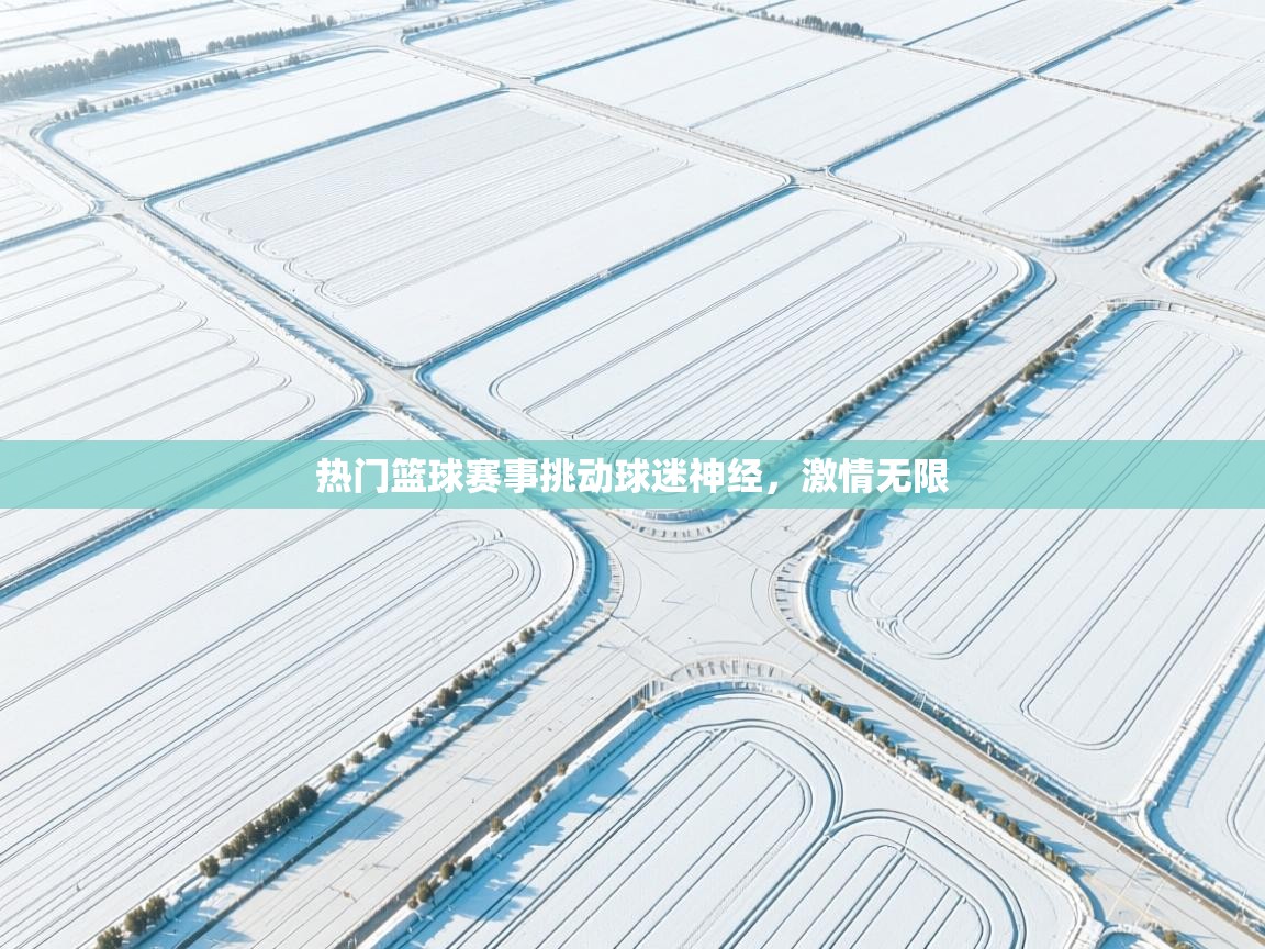 热门篮球赛事挑动球迷神经，激情无限